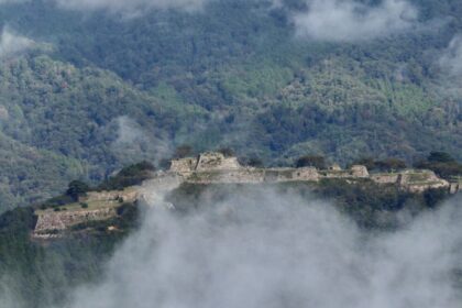 cropped-cropped-cropped-cropped-img_5611-1.jpg