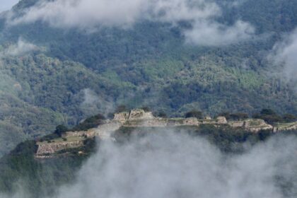 cropped-cropped-cropped-img_5611-1.jpg