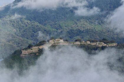 cropped-img_5611-1.jpg