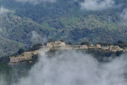 cropped-img_5611.jpg