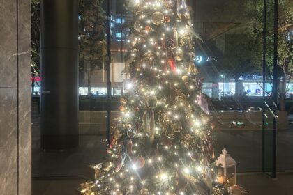 IMG_6213